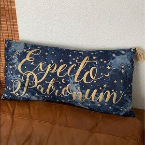 Harry Potter x Pottery Barn teen pillow w insert